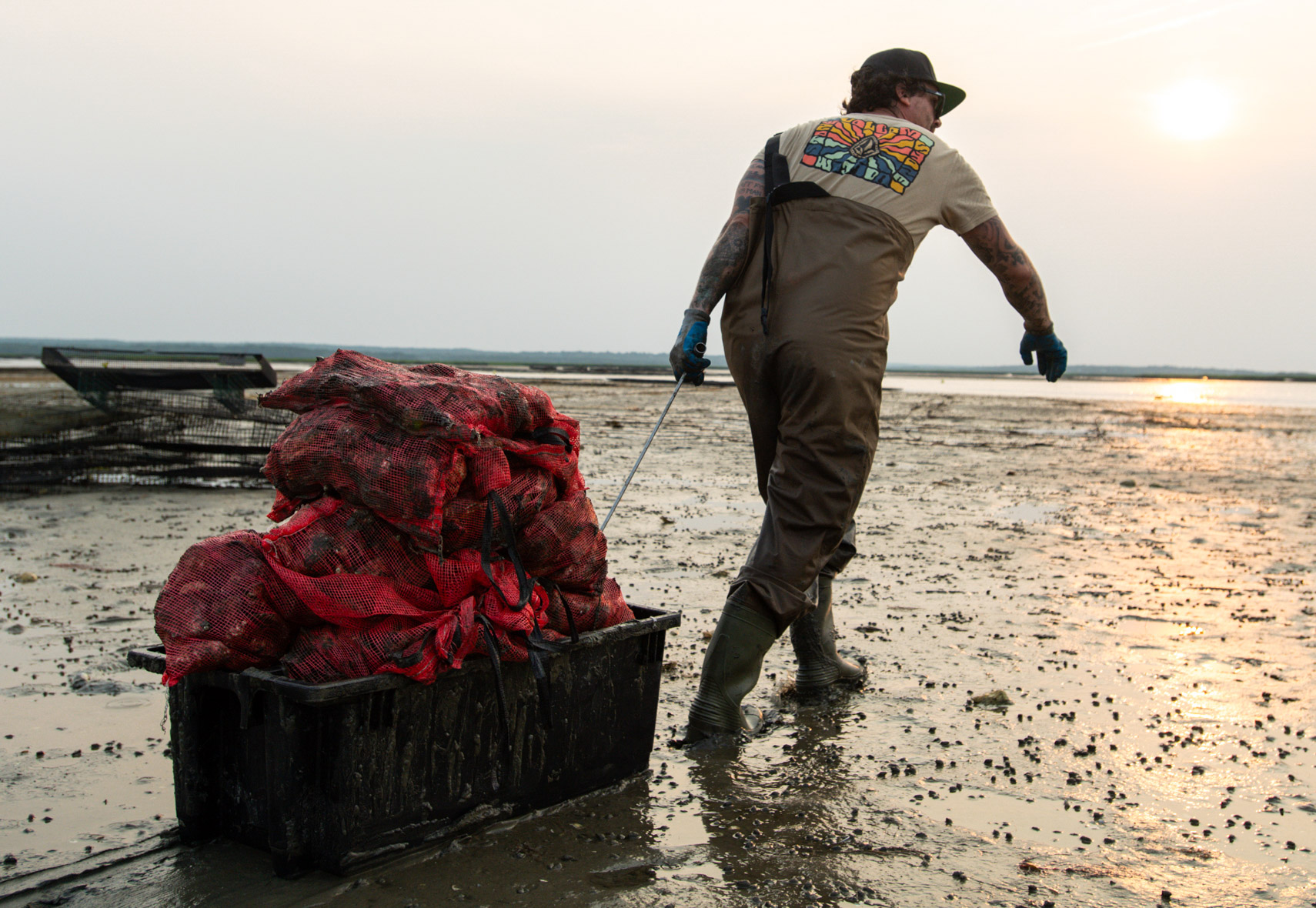 Oystering-18-3